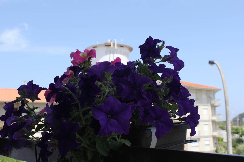Hotel Nine Senses Furadouro Exterior foto